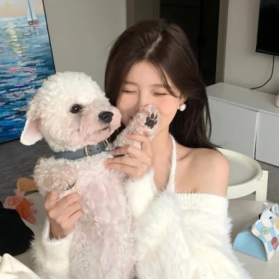 迷粉爱墙